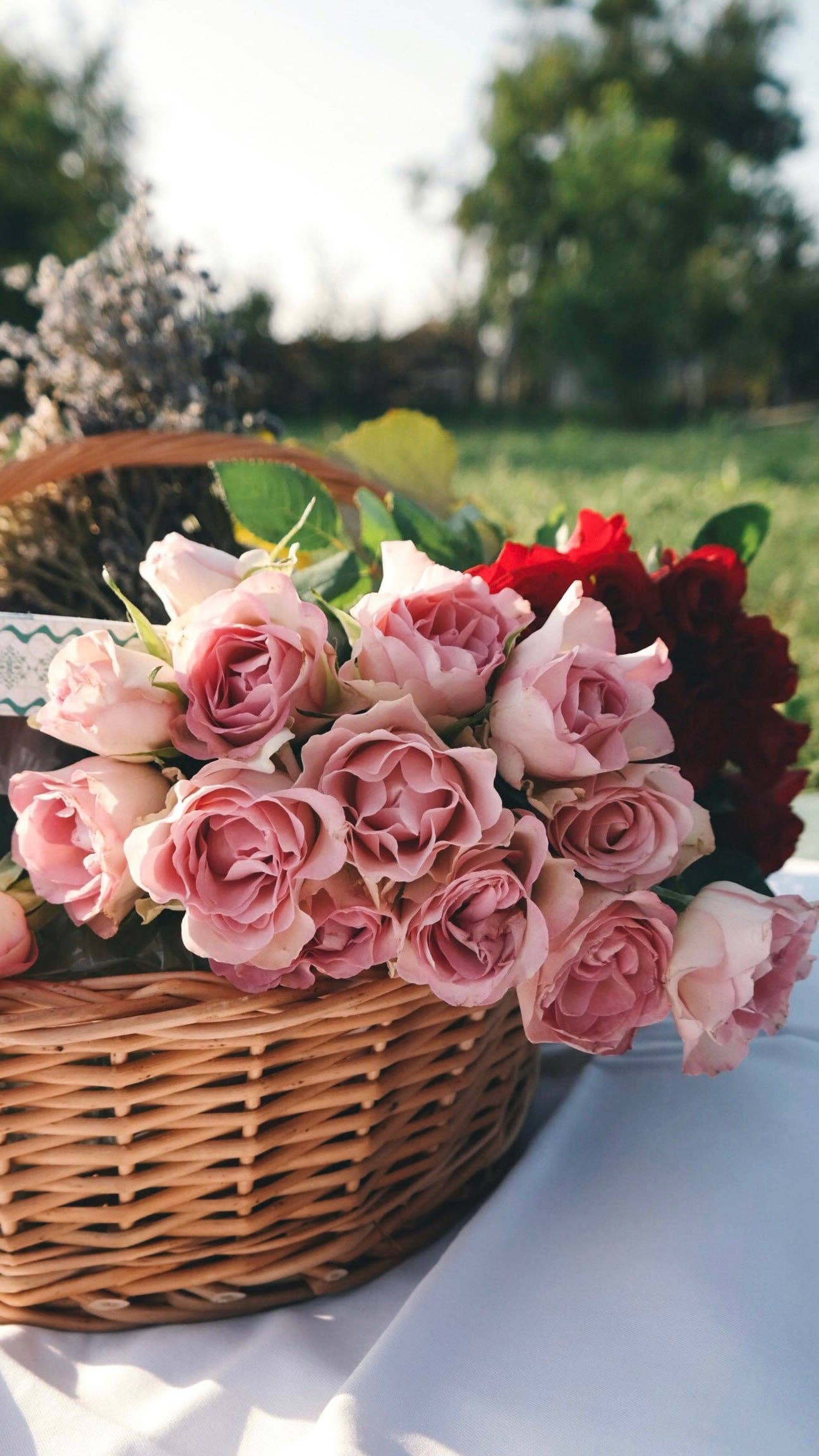 Wolkenreich - Rosen aus Mamas Garten | Duftkerze, Sojawachs