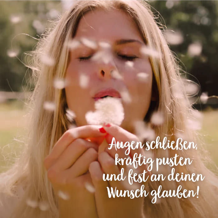 Wunscherfüller - groß-