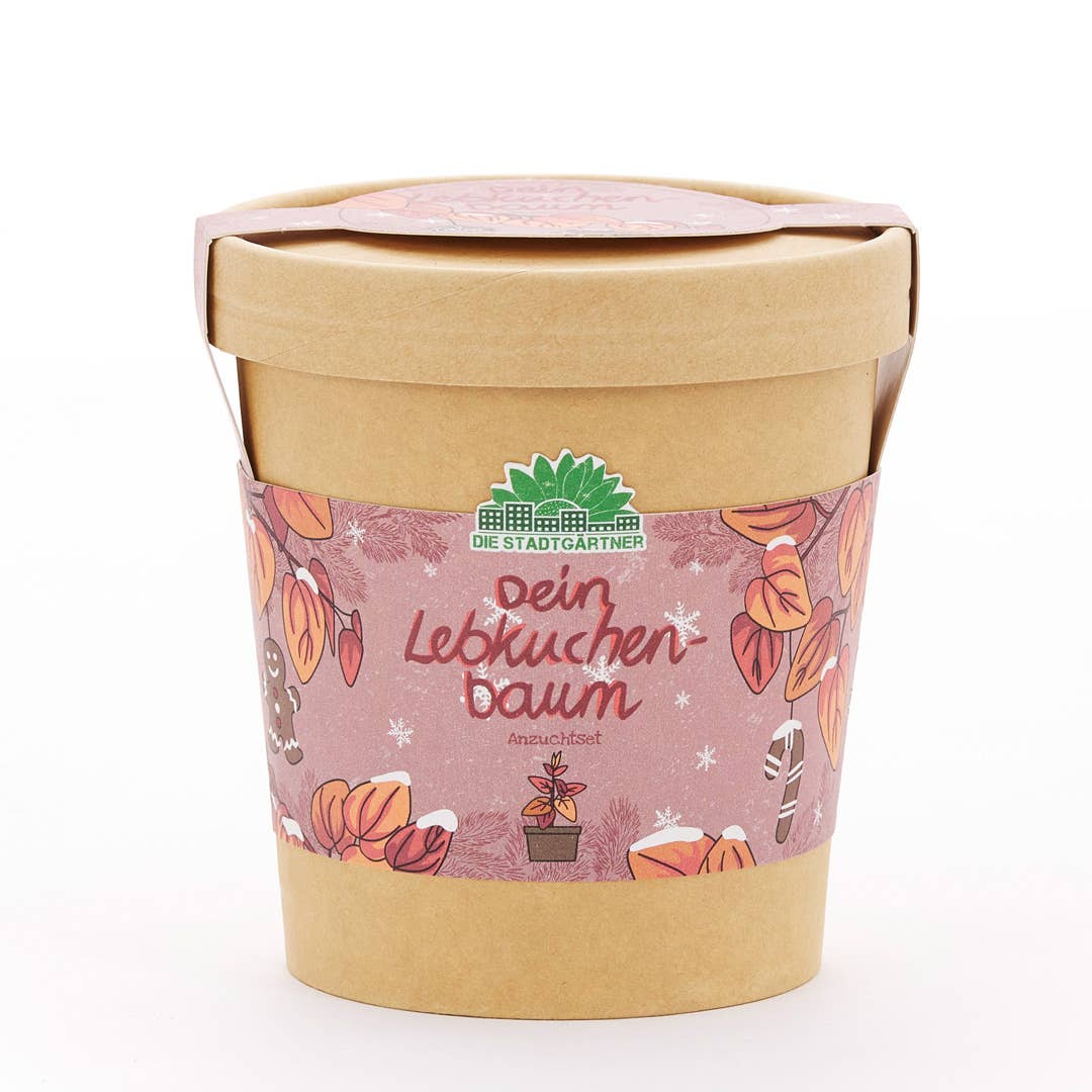 TDJ Stadtgärtner GmbH - Lebkuchenbaum aus dem Becher