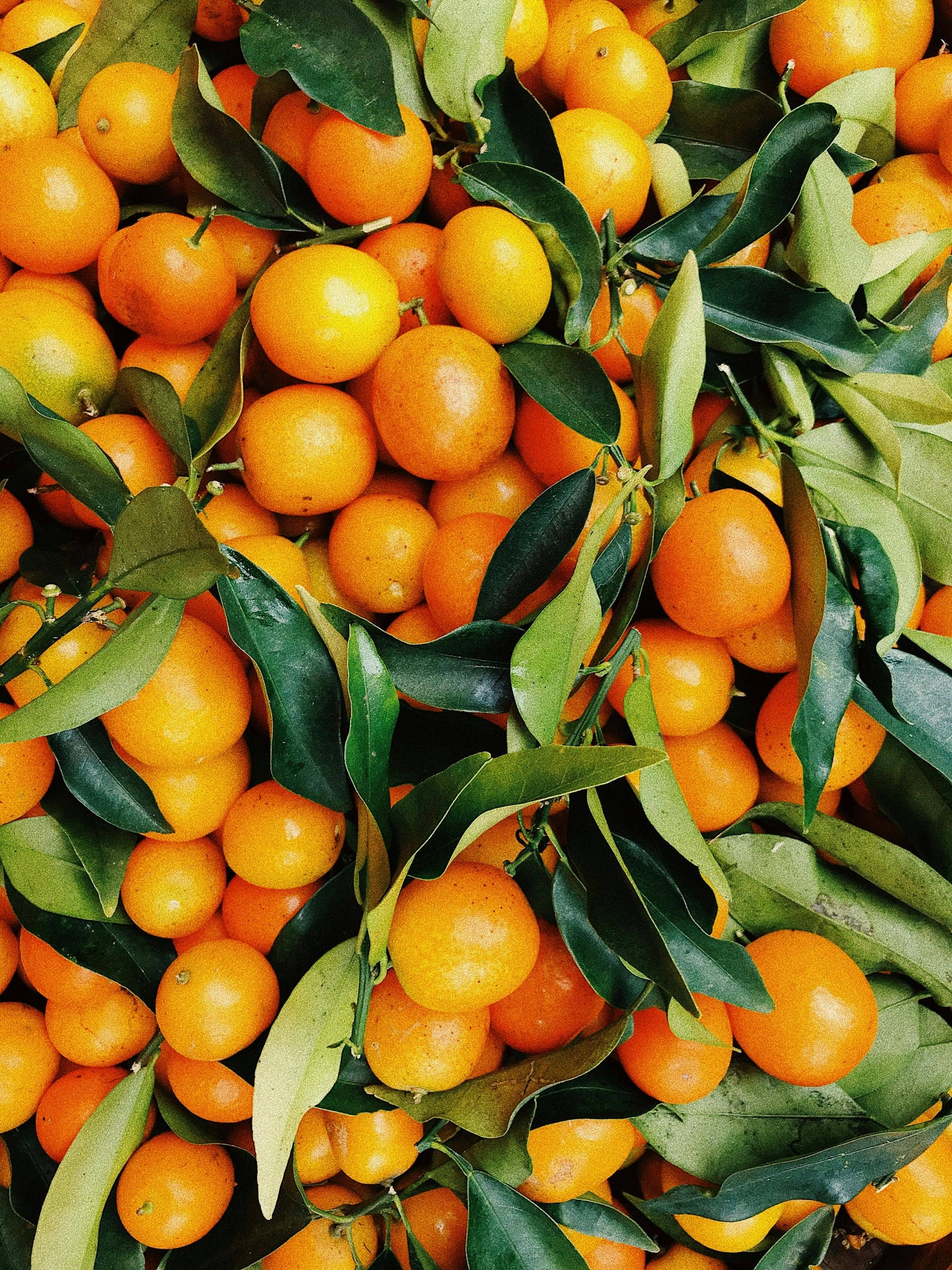 Geruchsmanufaktur - Duftkerze Sweet-Orange